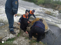 Застрявшего между камней в реке мужчину вытащили спасатели в Ростовской области
