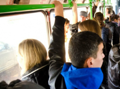 Девушку откровенно «облапал» мужчина в автобусе Ростова и высмеяли в соцсетях