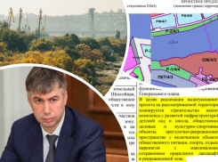 Сити-менеджер Ростова Логвиненко резко поменял свою позицию по застройке рощи на левом берегу