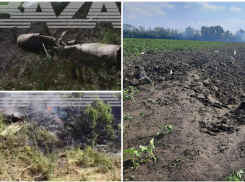 Военный самолет Су-25 потерпел крушение в Ростовской области