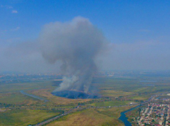 Пеплом от горящего камыша засыпало центральные улицы Ростова