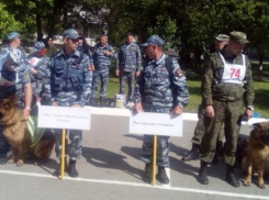 Международные соревнования специалистов-кинологов прошли в Ростове