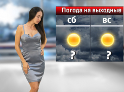 На выходных в Ростове будет жарко, а потом похолодает