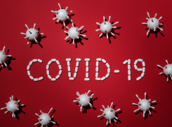 Рекордное число случаев коронавируса за все время пандемии выявлено в Ростовской области 29 июля