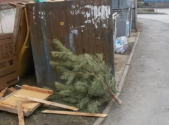 В Ростове-на-Дону сдались еще одни безвольные слабаки и выбросили новогодние елки 