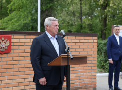 Голубев заявил, что в Ростовской области зафиксировано 130 атак БПЛА с начала года