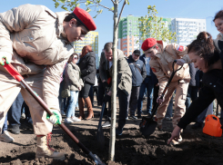 Новый парк в честь 80-летия Победы в Великой Отечественной войне заложили в Ростове