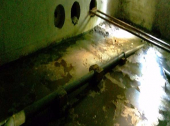 Жильцы дома на Космонавтов задыхаются от зловонного запаха канализационных стоков 