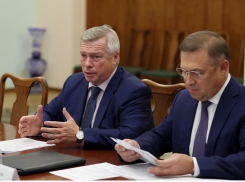 Экс-губернатор Ростовской области тратит миллионы на адвокатов Федотовой и Гончарова