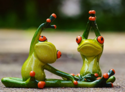 «На зарядку по порядку становись»: каждый шестой житель Ростовской области начинает день со спорта