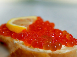 В Ростовской области обнаружили «паленую» красную икру