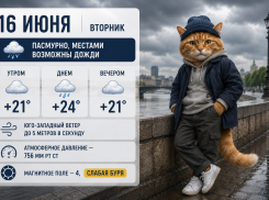 В Ростове 16 июня ожидается пасмурная погода и слабая магнитная буря