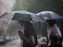 Ливневые дожди и грозы вынудят провести воскресный выходной дома жителей Ростова