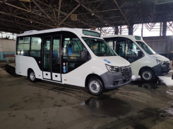 В Ростове заменили автобусы маршрута № 20 на комфортабельные