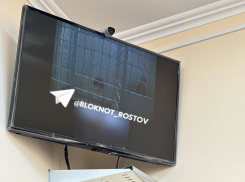 Экс-глава минфина Ростовской области просилась отметить «золотую» свадьбу с мужем дома, а не в СИЗО