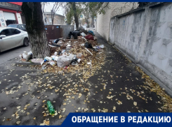 «Когда Ростов приведут в порядок?»: жители пожаловались на замусоренные улицы города