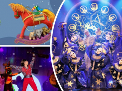 Посетить резиденцию Деда Мороза и посмотреть сказки Шахерезады на льду смогут ростовчане на выходных