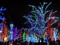 На украшение города к новогодним праздникам власти Ростова потратят более 19 миллионов рублей