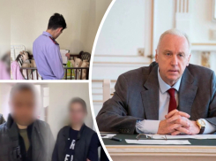 Бастрыкин поручил доложить о ходе расследования убийства 8-месячной девочки в Ростове