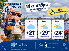 Пасмурно и до +29 градусов ожидается в Ростове 14 сентября
