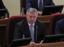 Губернатор Голубев наорал на главного ветинспектора Ростовской области