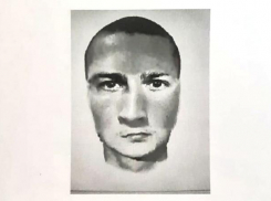 В Ростовской области ищут мужчину, изнасиловавшего девочку в лесу