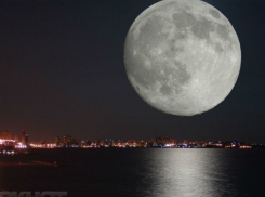 Космический вечер с «путешествием на Луну» проведут в публичной библиотеке для жителей Ростова