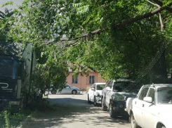 Над легковыми автомобилями в центре Ростова нависла деревянная угроза