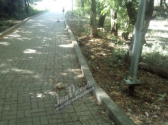 Вандалы спилили на металлолом скамейки в ростовском парке
