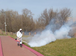 Парки и скверы Ростова начали обрабатывать против клещей