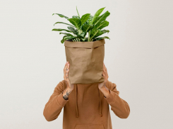 Более 32 тысяч саженцев завезли в Ростовскую область из Италии в июле 