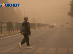 В Ростовской области ожидается пыльная буря 10 июля