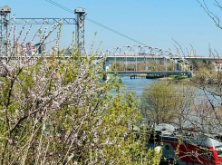 Александр Скрябин поздравил жителей Железнодорожного района Ростова с днём основания