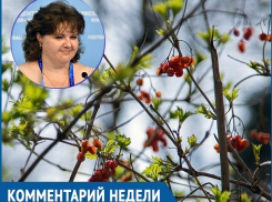 В Росгидромете рассказали, когда в Ростов придет весна