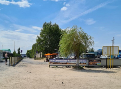 Власти Ростовской области будут контролировать бесплатный вход на Соленое озеро