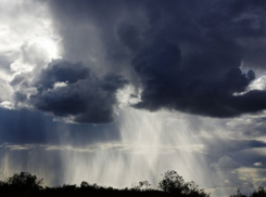 Синоптики прогнозируют грозы и град в Ростовской области