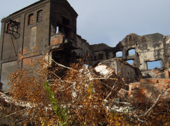 В Ростовской области хотят продлить льготы по налогам в ТОРах