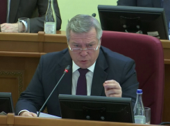 Василий Голубев призвал жестко бороться с фейками о коронавирусе