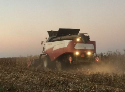 Мощь и выносливость сделанных в Ростове комбайнов впечатлили фермера из Южной Африки