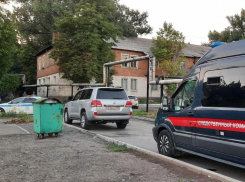 Выжившая при расстреле семьи в Новошахтинске четырехлетняя девочка пришла в сознание
