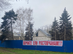 Купил участок для дочери-инвалида и продал в 9 раз дороже: дело о елках на Зелёной продолжается