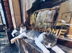 Экстренное предупреждение из-за 40-градусной жары объявили в Ростове