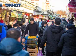 На Дону вырос поток мигрантов накануне полевых работ