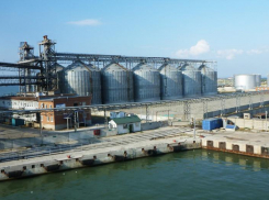 В Ростовской области из-за санкций остановили строительство двух зерновых терминалов