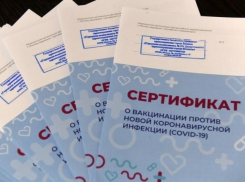 Полиция в Ростовской области предложила усилить контроль за сертификатами о вакцинации 