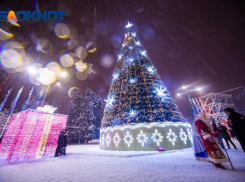 В Ростовской области власти рассказали о праздновании Нового года