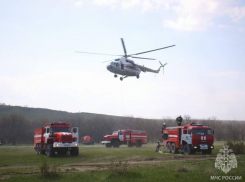 Желтый уровень пожароопасности объявили почти по всей Ростовской области
