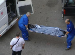  Шестилетний мальчик забрался на крышу дома в Каменском районе и его убило током 