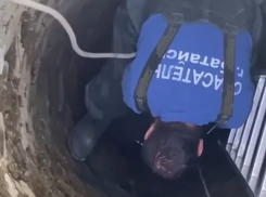 В Батайске собаку достали из глубокого колодца 
