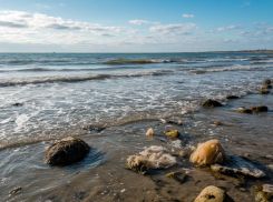 Соленость Азовского моря угрожает экологии и экономике Ростовской области